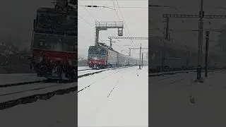 Tren prin Zăpadă #tren #cfrcalatori #train #cfr #snow #zapada #iasi #timisoara #shorts #ldegm #cluj