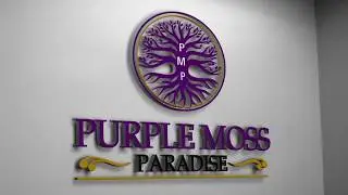 HOW TO MAKE A GEL WITH YOUR PURPLE SEA MOSS