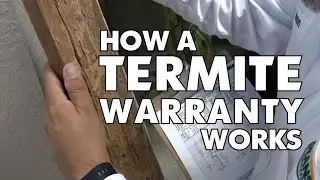 How a Termite Warranty Works