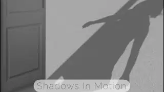Shadows In Motion (Audio)
