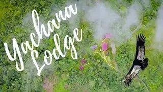 Yachana Lodge | A 4 Day Jungle Journey through the Rainforest in Ecuador | Shot in 4K