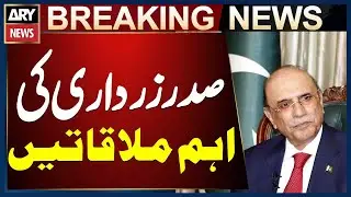President Zardari meets UN, Iraqi and Tajik leaders on Doha summit sidelines