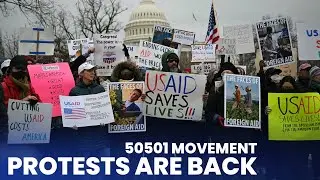 700 Protests Across All 50 States! Will the 50501 Movement Change America?