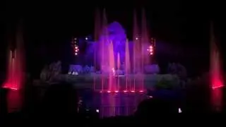 Disney's Hollywood Studios 2014 - Fantasmic