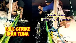 Panen ikan tuna di waktu malam hari