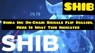 Shiba Inu On-Chain Signals Flip Bullish, Here Is What This Indicates