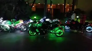 Busa Life