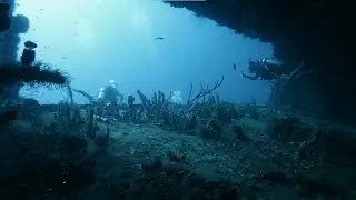 Scuba diving St. George wreck in Bayahibe, Dominican Republic (4K)