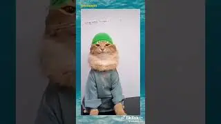 meme absurd part 4 ||ib:tiktok #memekucing #lucu #kucing #memeabsurd #part4