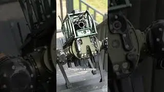 Assault dog: Skyborne unveils a four-legged combat robot