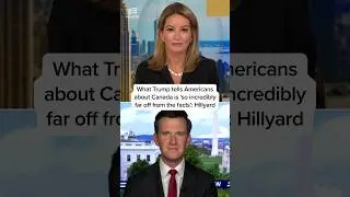 What Trump tells Americans about Canada is 'so incredibly far off from the facts': Hillyard