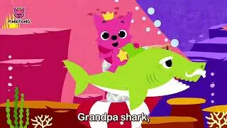grandma shark
