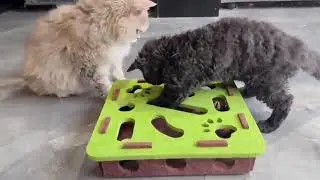 Interactive Cat Fun Box | Digging & Climbing Toy with Paw Prints & Hidden Balls