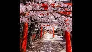(FREE) ASIAN SAMPLE TRAP TYPE BEAT - SHOGUN