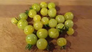 White Currant Tomatoes