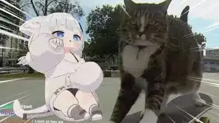 Filian Goes Crazy With The Fastest Cats