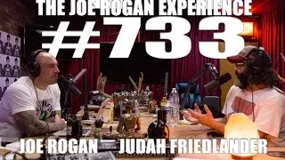 Joe Rogan Experience #733 - Judah Friedlander