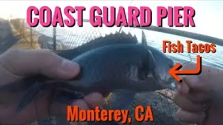 COAST GUARD PIER has a TON of ROCKFISH! (Fish Tacos) - Monterey, CA