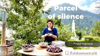 Wholesome countryside ASMR : PRUNE HARVEST and Delicious creations.