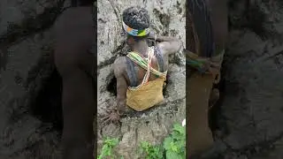 tribes live in tree house