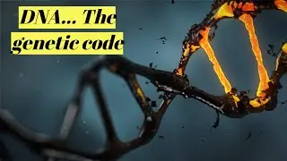 DNA&hellip; The Miracle of genetic code