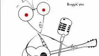 Bugging you
