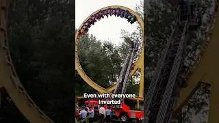 Did You Know About Walibi Belgium...