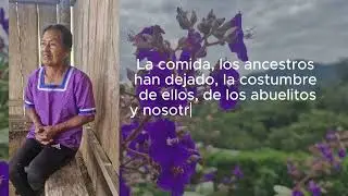 Conocimientos orales sobre gastronomía, identidad y tradición en la comunidad Nueva Esperanza.