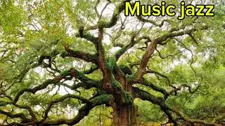 Music jazz 🎶🎶🎶