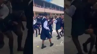cofimvaba high 💡