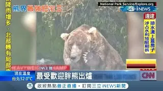 熊界肥宅爭霸戰! 阿拉斯加國家公園舉辦