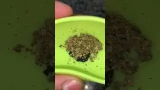 S&oacute; flor #maconheiro #dry #ice #crema #bobmarley #420