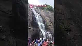 Old Falls | 01.09.2024 | Moderate Waterflow | Bathing Allowed | Moderate Crowd | Kutralam Live