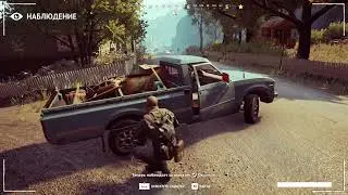 vigor cheats