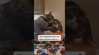 Как справляться с её приступами злости #dutiap #юмор #отношения