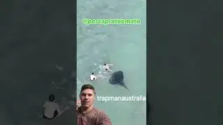 ARRAIA GIGANTE ATACA CRIAN&Ccedil;AS TOMANDO BANHO DE MAR!!!🌊