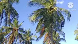 tigman aborlan palawan.                                   #nilesqooo vlogs#view#beach#tigman.