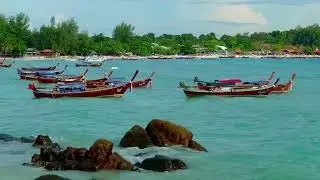 Fast time to look a nature video#