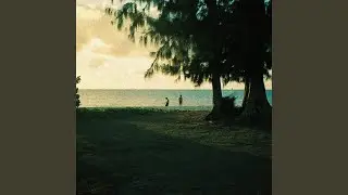 Have you found peace?