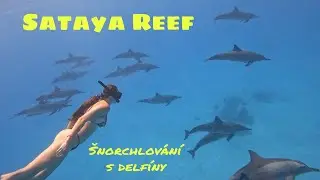 Sataya reef - Hamata (Dolphin house)  Marsa Alam 09/2024 - GoPro10/4K/60fps/@78vavrova