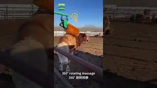ush Cleans & Massages Automatically！ #greatfarm#farming #cattle #tools