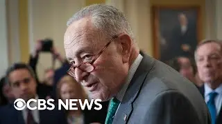 Schumer says he won't step down as Senate minority leader as pressure mounts from some Democrats