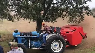 Texas Pecan Harvest