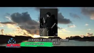PROGRAMA MAPUCHE KIMUN