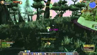 Attack on Firewing Point Quest Playthrough - Terokkar Forest