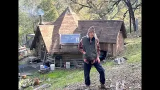 Back To The Garden
