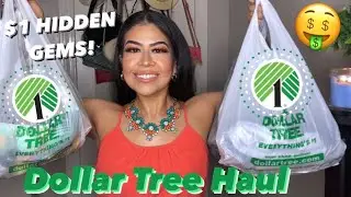 DOLLAR TREE HAUL! Amazing $1 Hidden Gems 🤑