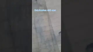 Rick Sanchez visit sans 