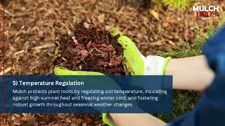 Healthy Lawn Secret: Why Mulch is the Best Investment You Can Make | Mulch Pros Landscape Supply
