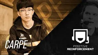 CARPE is the most interesting player in the Overwatch League &mdash; Positive Reinforcement S2 E6